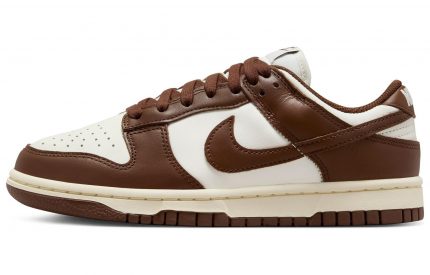 Nike Dunk 'Surfaces In Коричневый и Парус' Шоколадные Аbrasion-Resistant Низкие Кроссовки для скейтбординга Женские Коричневый белый