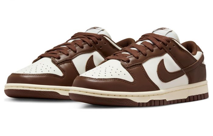 Nike Dunk 'Surfaces In Коричневый и Парус' Шоколадные Аbrasion-Resistant Низкие Кроссовки для скейтбординга Женские Коричневый белый — изображение 3